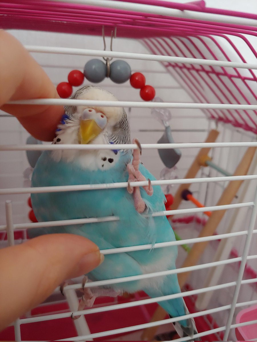 Sizden gelenler 📸