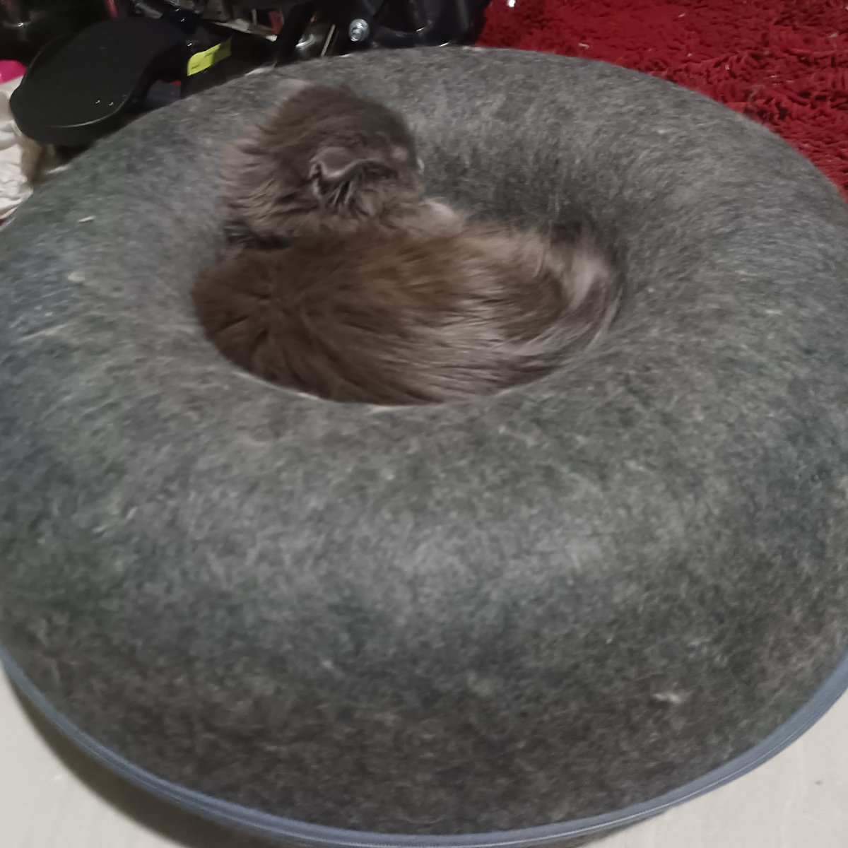 Relic Abyss ✨Wishlist on Steam✨ tweet media