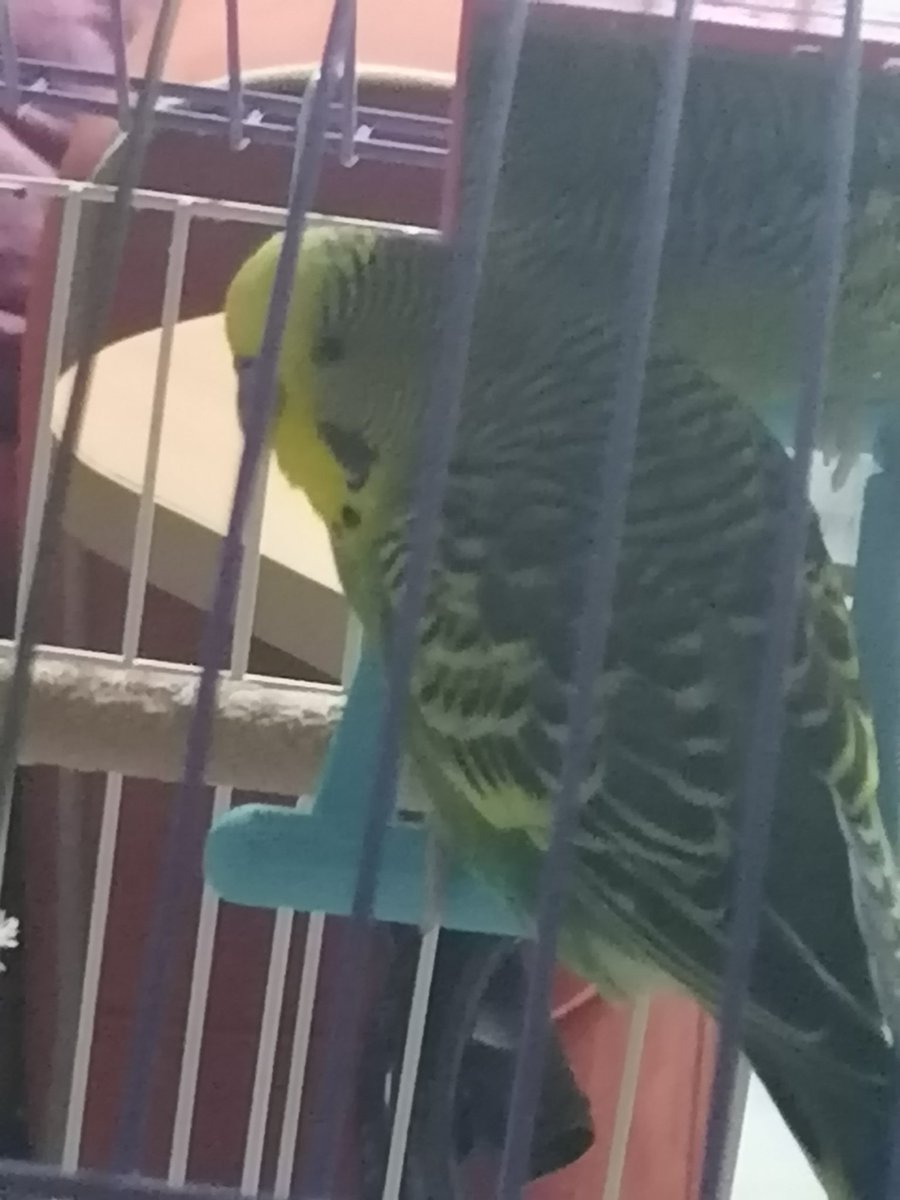 Sizden gelenler 📸