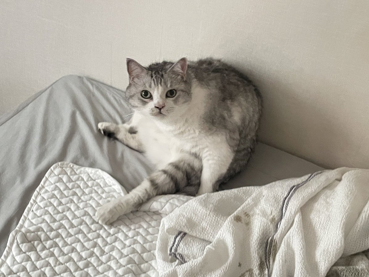 saemo___'s tweet image. 