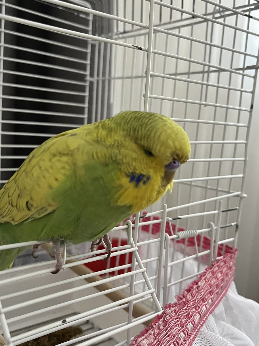 Sizden gelenler 📸