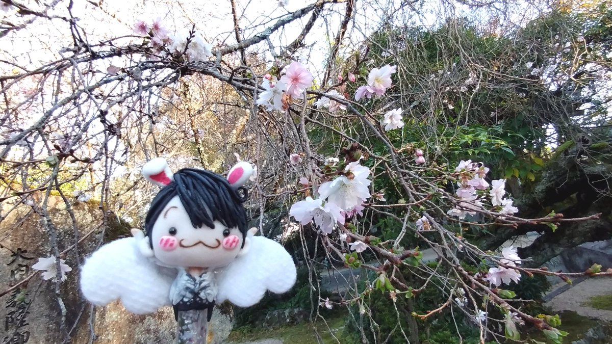 プリティーくまちゃん（♡caramel♡） (@pretty_kumachan) / Posts / X