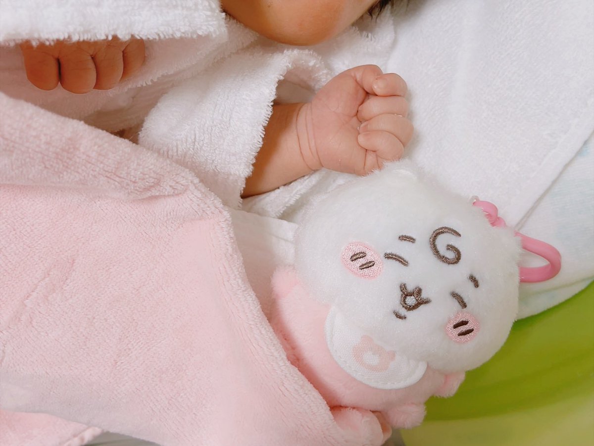 トコトコ tweet media