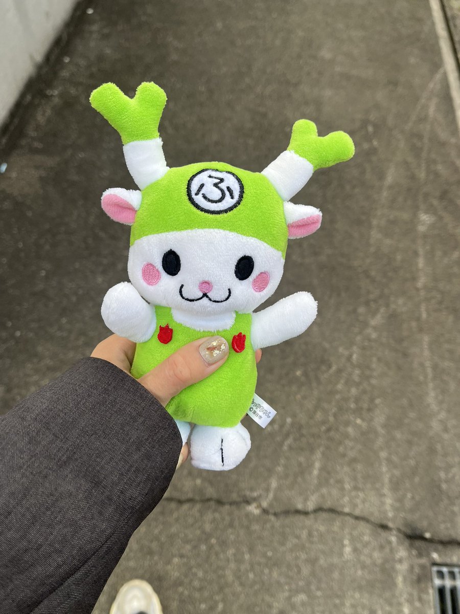70OCG's tweet photo. 日替りぬい https://t.co/rGalu52jqs