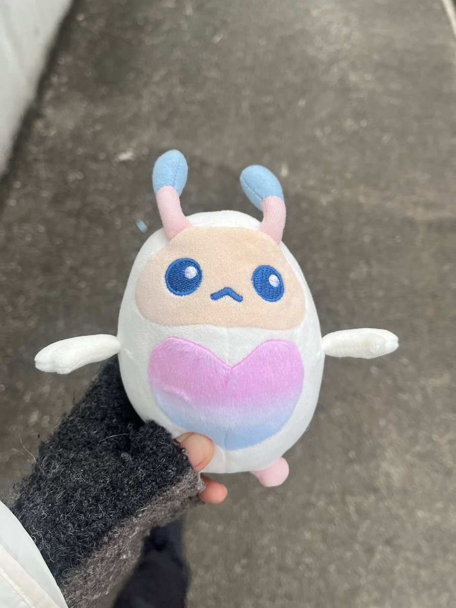 70OCG's tweet photo. 日替りぬい https://t.co/rGalu52jqs
