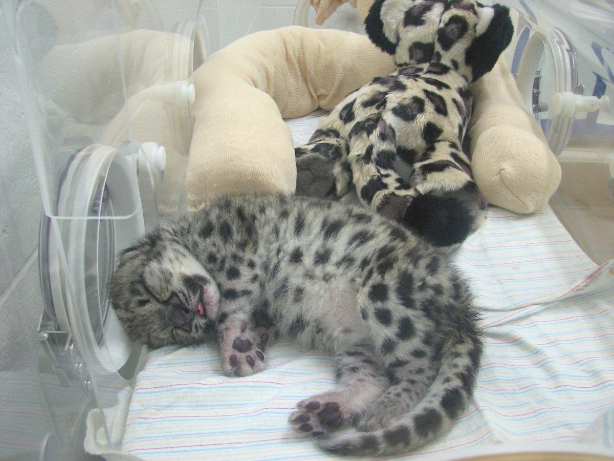 In my tub with my touys yep its nap time