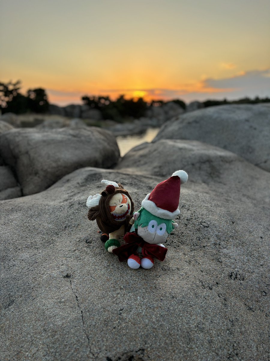 もうすぐクリスマスだね🎄🐑🐶