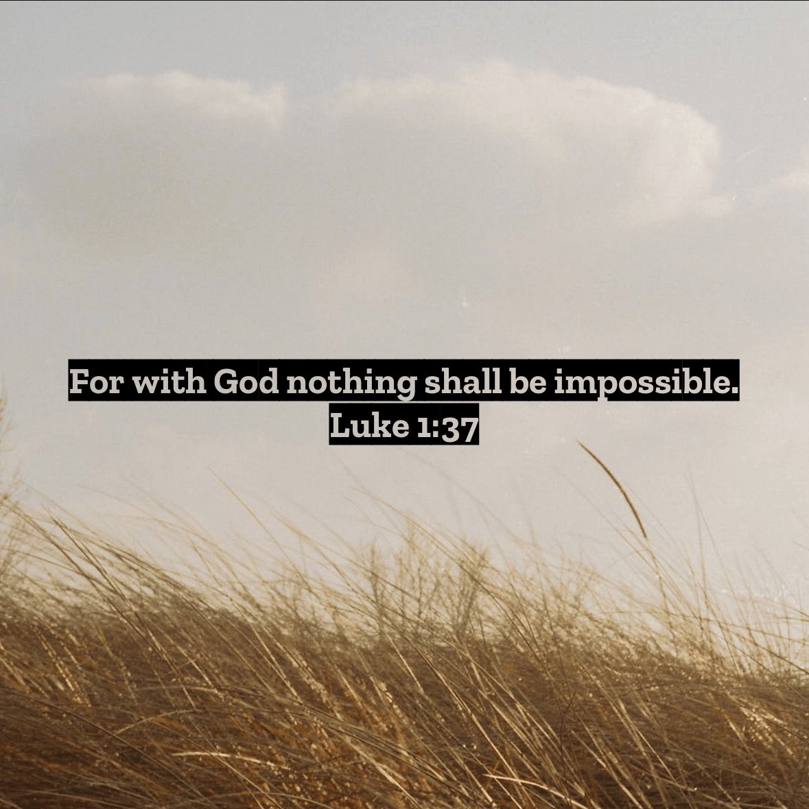 Joe Hanson (@joehanson23) on Twitter photo 