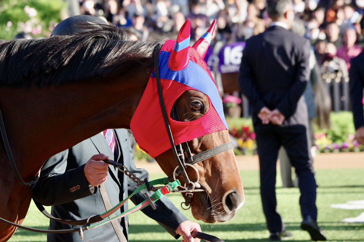 サビヌキコペン (@copen_banushi) / Posts / X