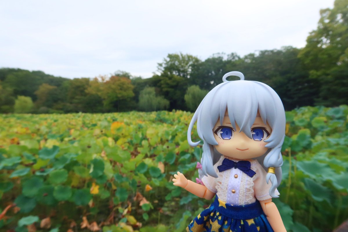 やっすん🐉 (@yassun1100) / Posts / X