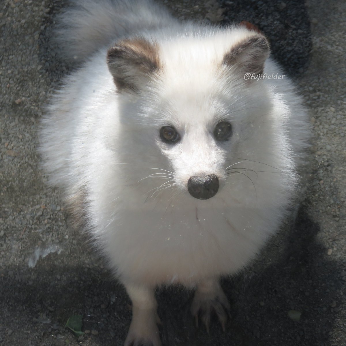 専用です♡新作♡極♡宝石質ペリドット♡ 水ブレス 透明になりたい
