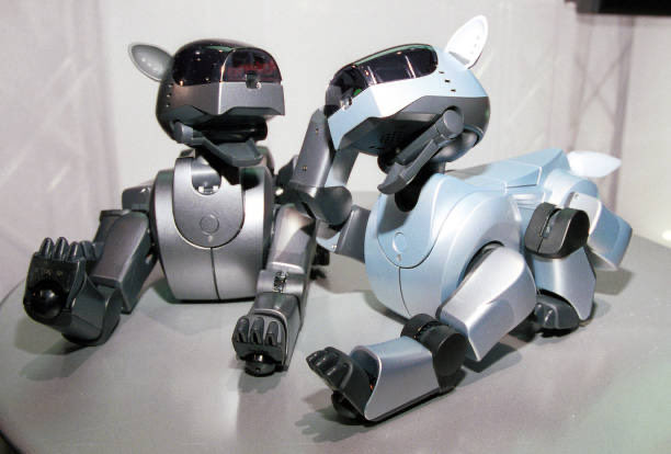 In Japan, Sony begins accepting orders for the new Aibo, a robot