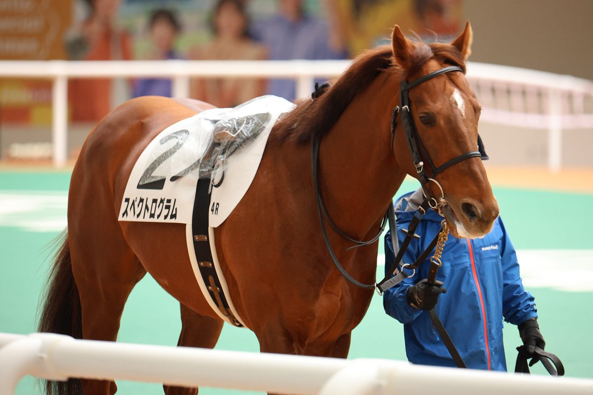 ゆな🐧 (@yuna10415) / Posts / X