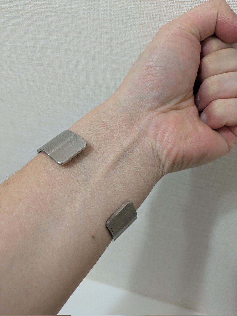 以前見かけて買わずに後悔したステンレスリムならぬバングルを購入