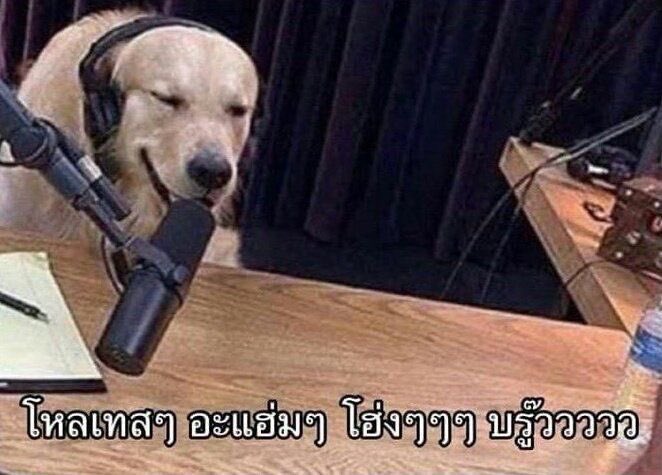 lazymazz's tweet photo. ดูดวงให้ฟรีในเมนชั่น แค่รี+พิมอะไรก้ได้พร้อมแท้ก

HEARTBREAKING 
#พิษรักEP9 https://t.co/Yd1NpDdlz1