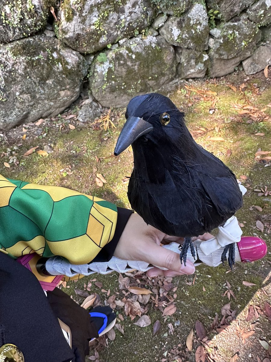 「もみじ川温泉 那賀町コスプレイベント2025秋」 
お楽しみさまでした(*^^*)
#徳島県
#もみじ川温泉
#那須市
#あめご塩焼き