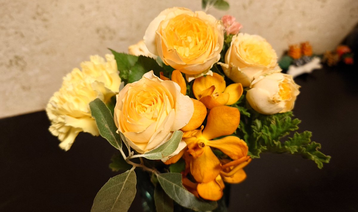 団員になって初の東混定期演奏会☺️先輩からお祝いのお花を頂いた 定期は難しい曲ばかりがずらりと並ぶので今後どんな難曲が待ち構えているやら >RP