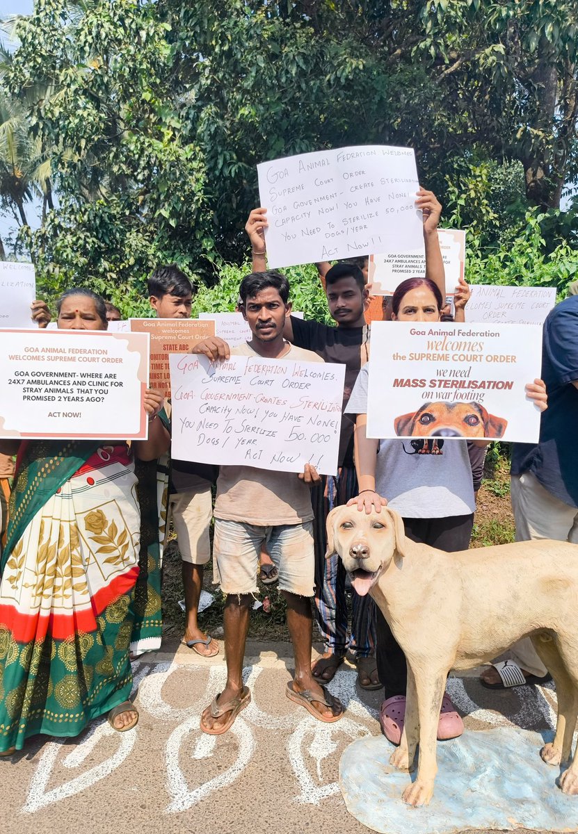 PrakashWKamatPK's tweet image. Spontaneous protests break out in different parts of Goa at local level.
Youth in Goa stand for community dogs. 
GAF says, the Supreme Court order needs to be implemented in specific institutions as provided in the order by following Supreme Court&apos;s directives like designated…