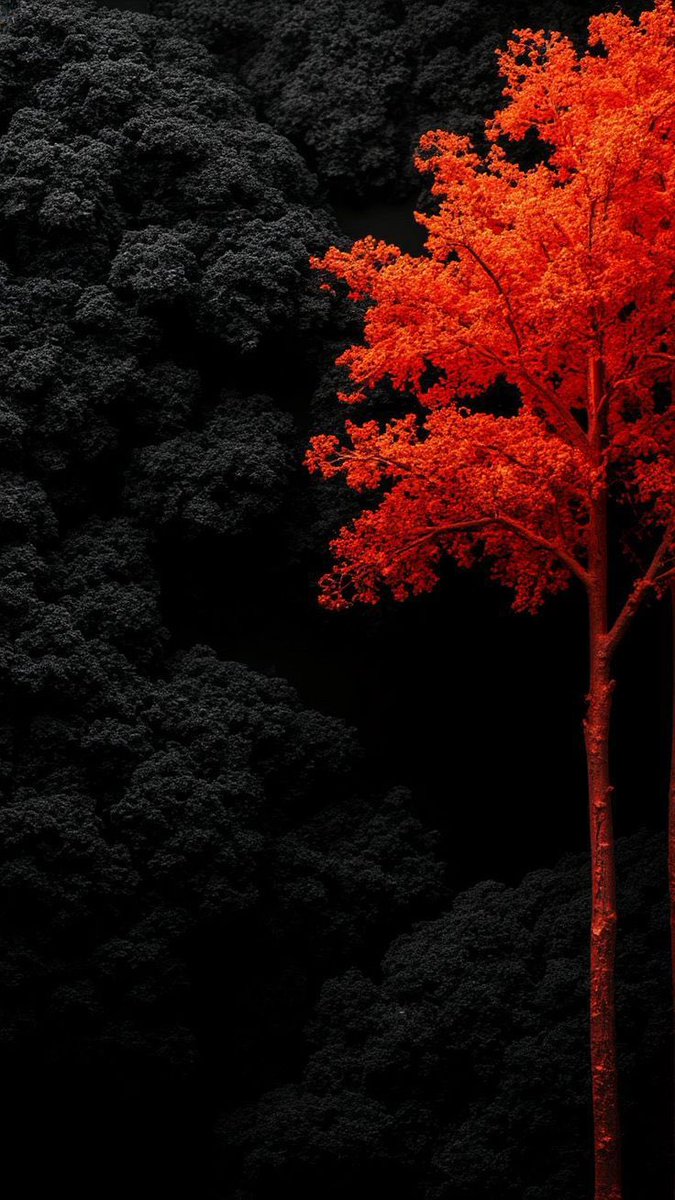 Omer Sahin (@opinigma) on Twitter photo 