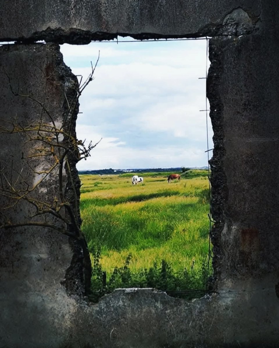 #Gallery365in2025sundaymusic

open.spotify.com/track/6vB93dZm…