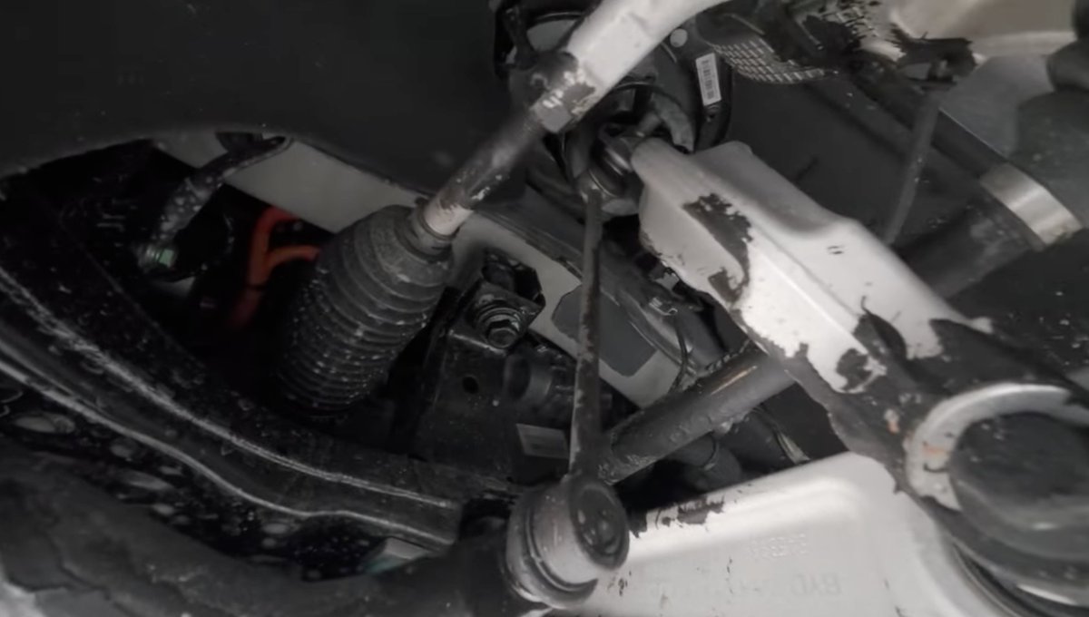 Elvis Will Vexillary 🔋 tweet media