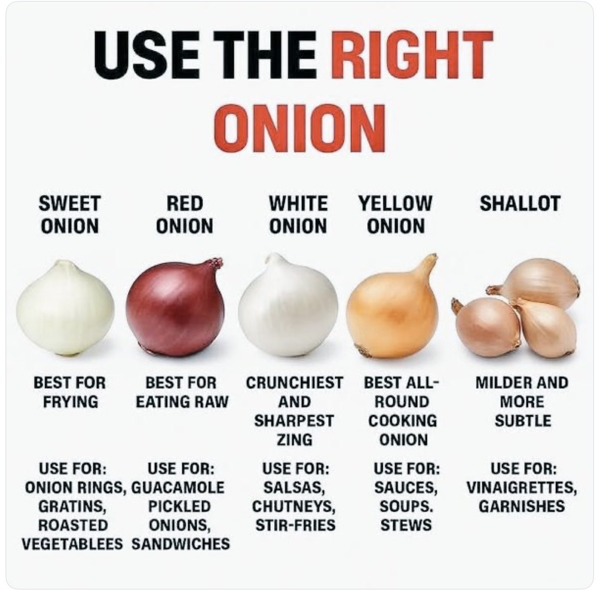 HappyHomeHub's tweet image. #onion #guide