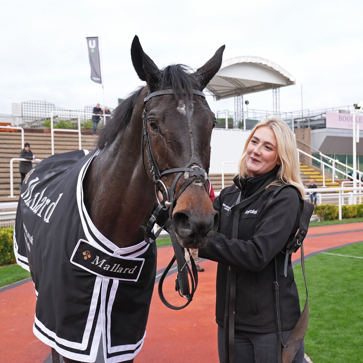 Tattersalls Cheltenham tweet media