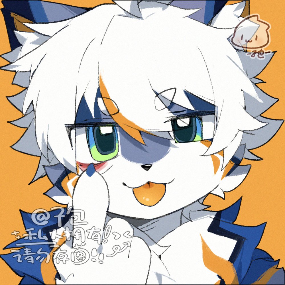 子包 (@zibao999) on Twitter photo 