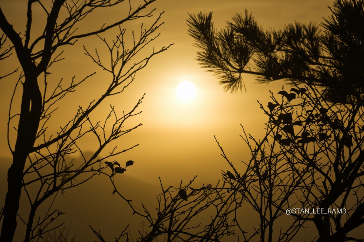 STAN_LEE_RAM3's tweet image. 今朝、大浪池で撮った朝日。