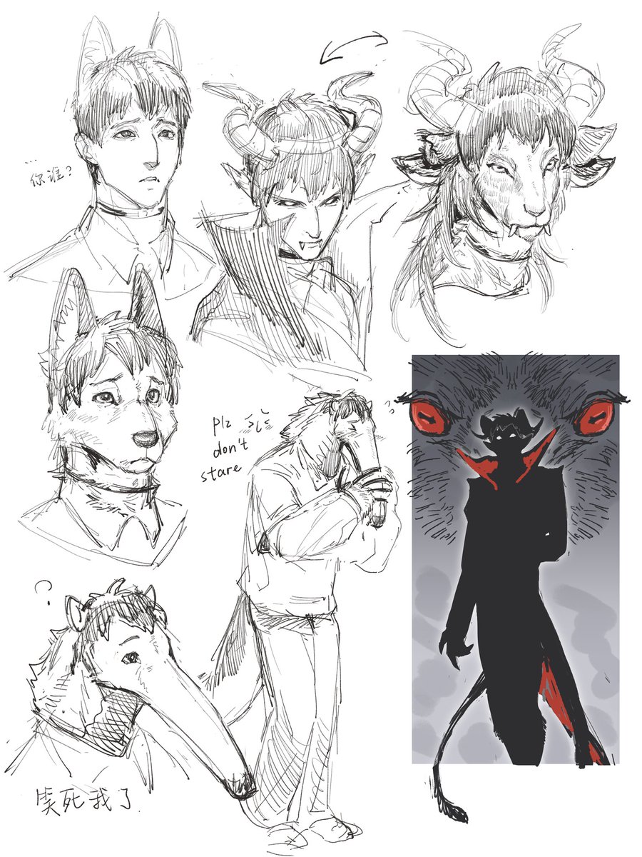 浮躁ᵖ🪫 tweet media