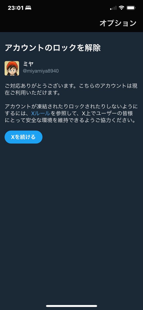 Xを使っていて ご利用のアカウントがロックされました。 問題の詳細 ご