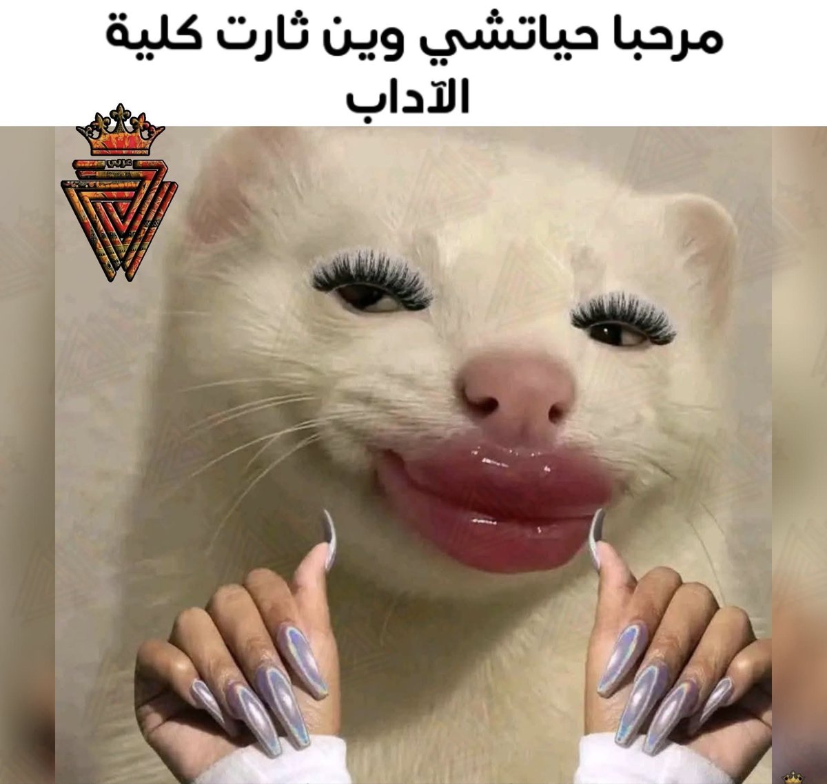 طلاب مرحلة اولى اليوم داوموا