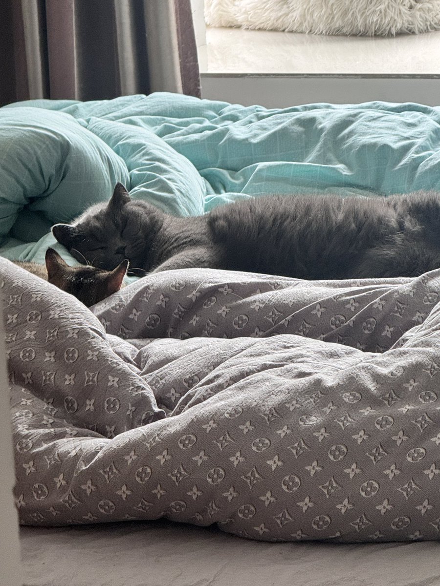 寒冬来临
做空！