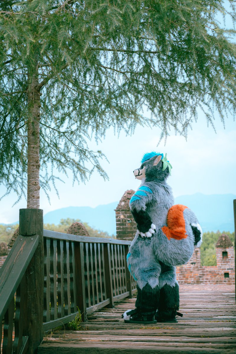 📷: <a href="/goat83262/">Yangi</a>

✂️: <a href="/kigurumikagetsu/">きぐるみ花月/Kigurumi Kagetsu</a>

#FursuitFriday #MountainPineTW