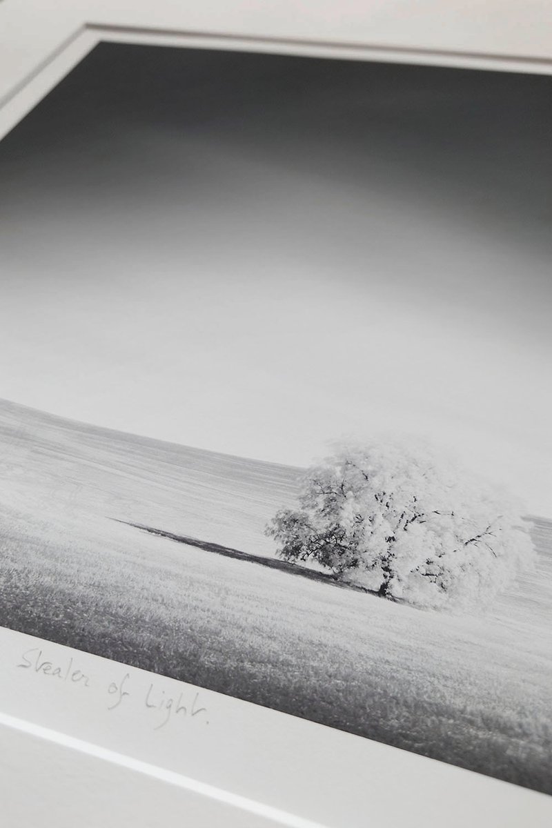 ThibaultROLAND's tweet photo. 📸 November 2025 Thibault Roland Fine Arts Newsletter: Stealer of Light 📸 - https://t.co/MgH62uThVn https://t.co/04FfhwFwUA
