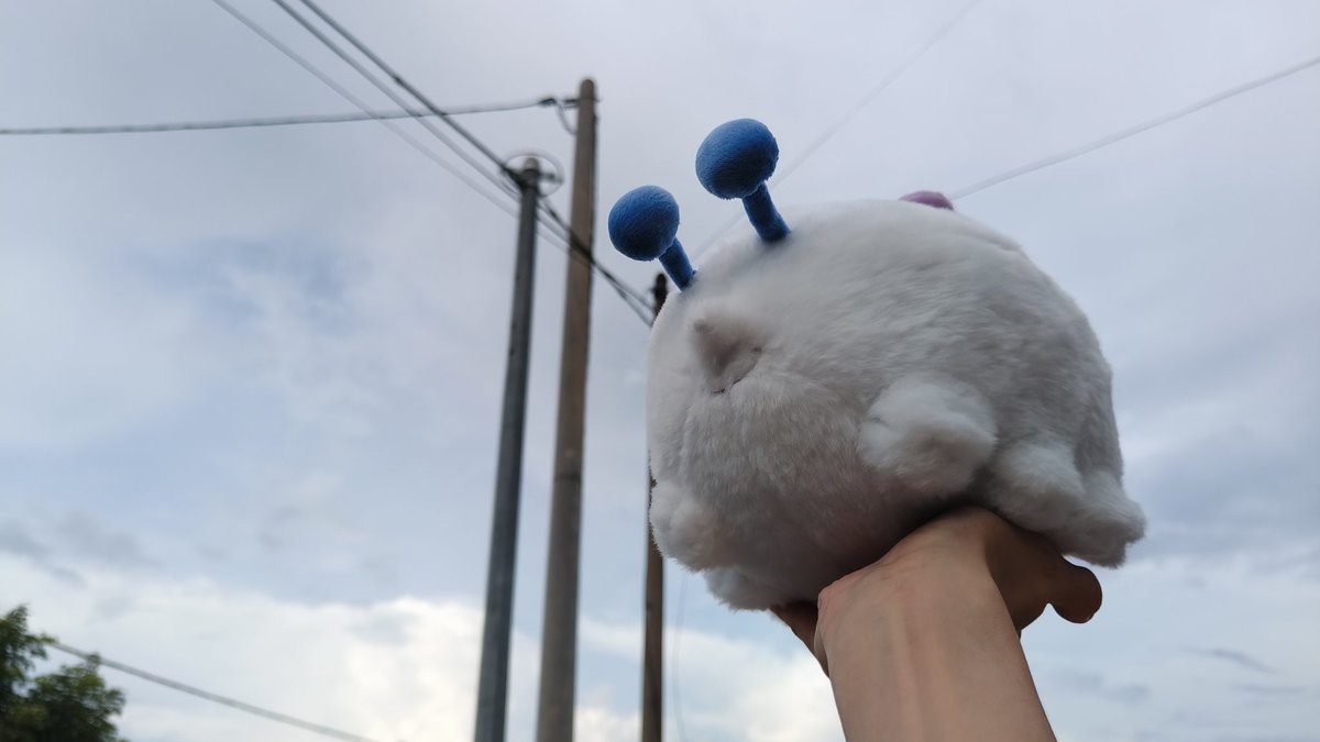 👑 モチ 🦷 tweet media