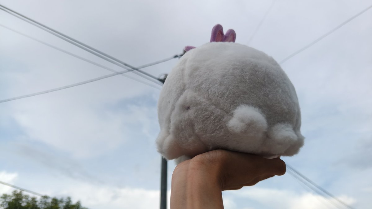 👑 モチ 🦷 tweet media