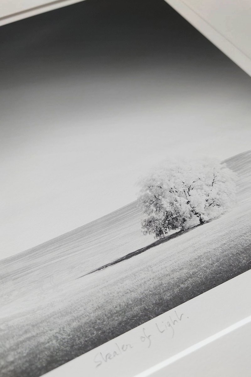 📸 November 2025 Thibault Roland Fine Arts Newsletter: Stealer of Light 📸 - mailchi.mp/7518ff936455/t…