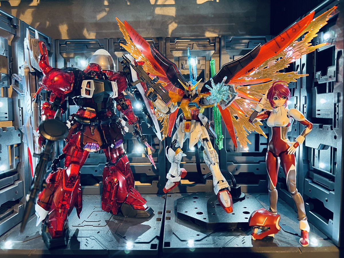 HGハイネ専用デスティニーガンダムメカニカルコアメッキ風仕上、完成