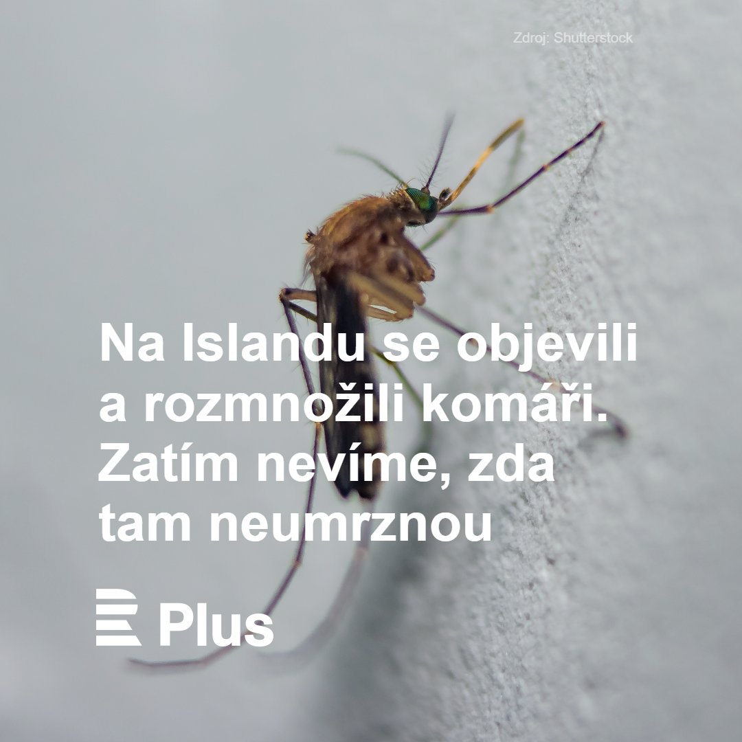 CRoPlus's tweet image. 🧪 Vědci tam chytili 🦟 komáry na vůni vína až letos v říjnu. Nejspíš přicestovali s lidmi z pevninské Evropy a už se tam rozmnožují. Ostrov ale několikrát do roka zamrzá, což může zabránit přežití komářích vajíček či larev. 🔗 rozhl.as/he6 #Laboratoř @martinamaskova