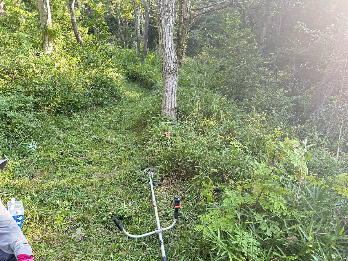 NishiharimaHawk's tweet photo. 2025年度は6月に登山道の倒木撤去や
山頂にレスキューベンチの設置を行い
8月は登山道の草刈りを行いました。
山を少しでも安全に登ってもらいたいと思います。

#鷹の渡り観察
#登山道
#鶴觜山
#鷹の渡り https://t.co/rwvfTrF6iC