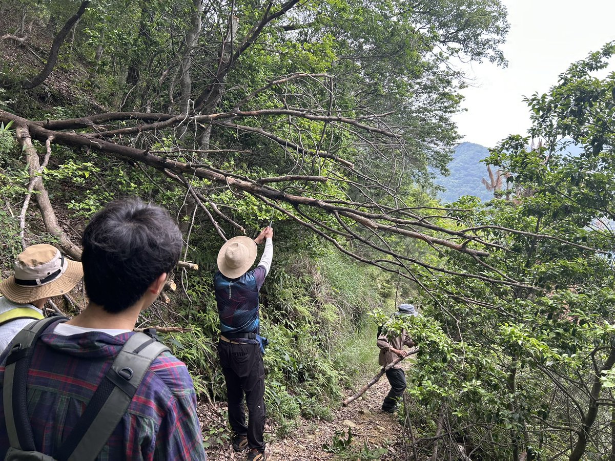 NishiharimaHawk's tweet photo. 2025年度は6月に登山道の倒木撤去や
山頂にレスキューベンチの設置を行い
8月は登山道の草刈りを行いました。
山を少しでも安全に登ってもらいたいと思います。

#鷹の渡り観察
#登山道
#鶴觜山
#鷹の渡り https://t.co/rwvfTrF6iC