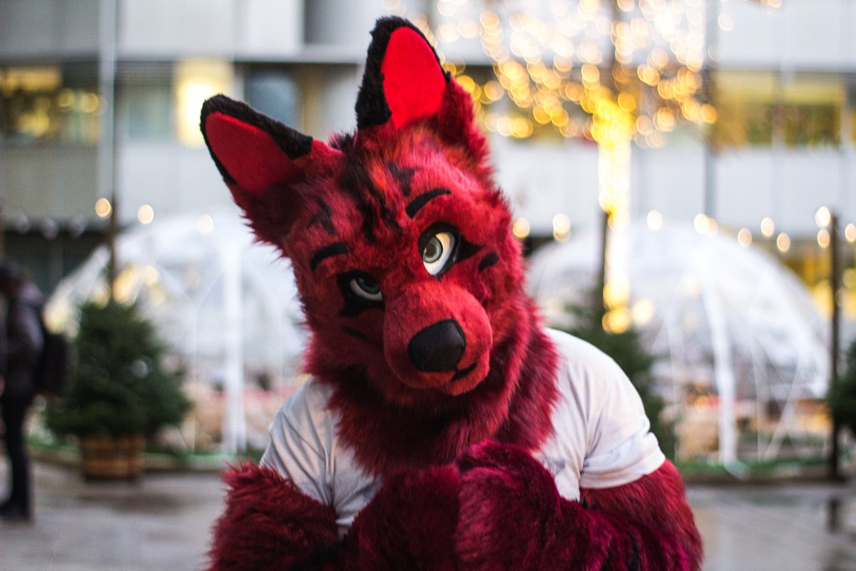 Night Shadow tweet media