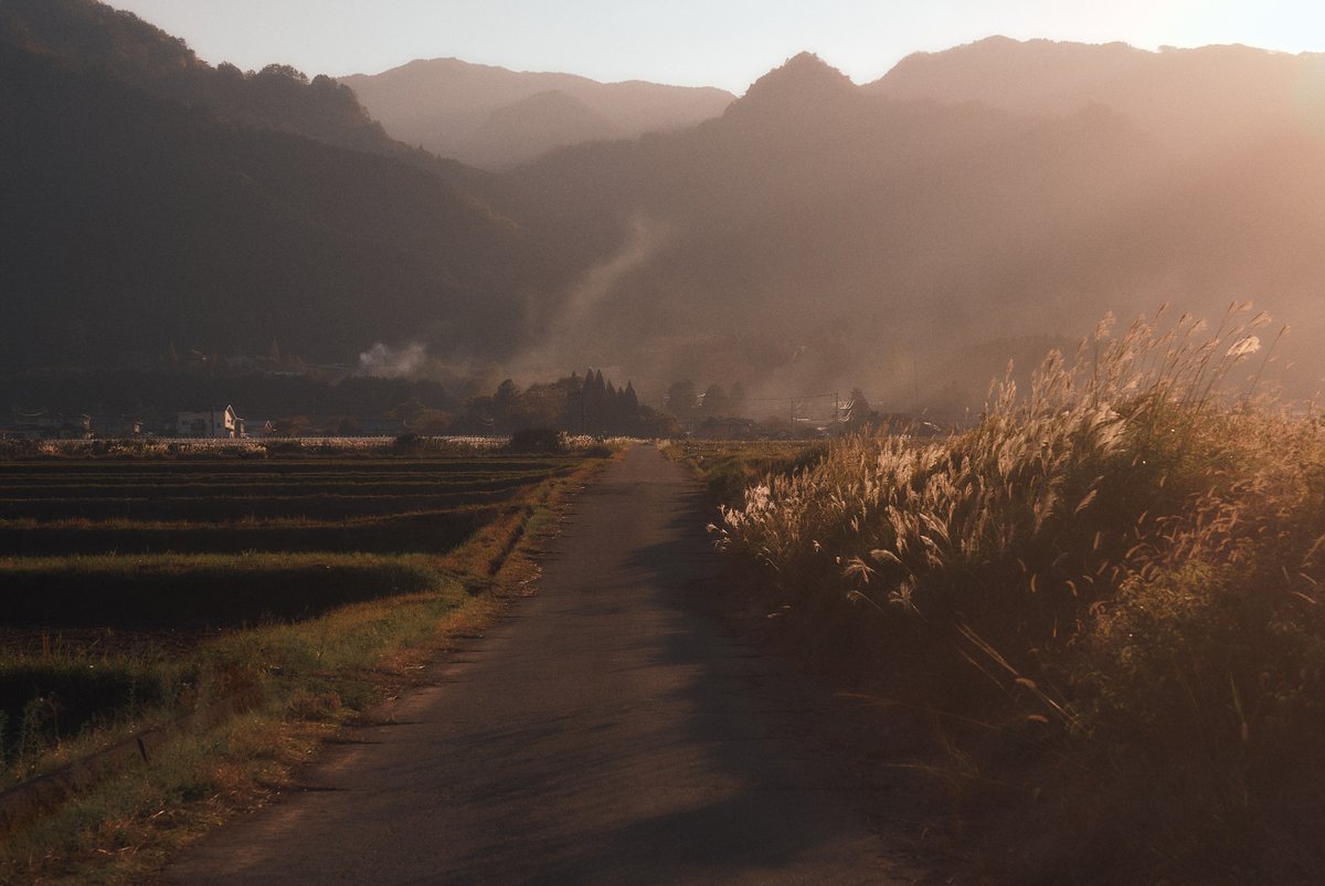 Japanese Countryside