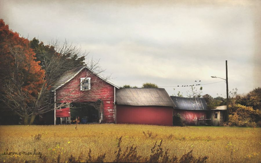 My newest magical realism photo art - "THIS TIME OF YEAR"
We fell in love in fall
With fall
The very air itself filled with promise
Magic in the air, magic everywhere -SOH