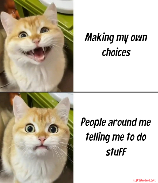 choiceoverchain's tweet image. #meme #PaveYourPath