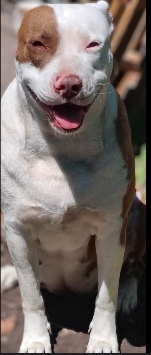 Arranquemos con una sonrisa
#buendomingo conventillo psicótico 
QueSeaRock 🎶 🤘 🎶