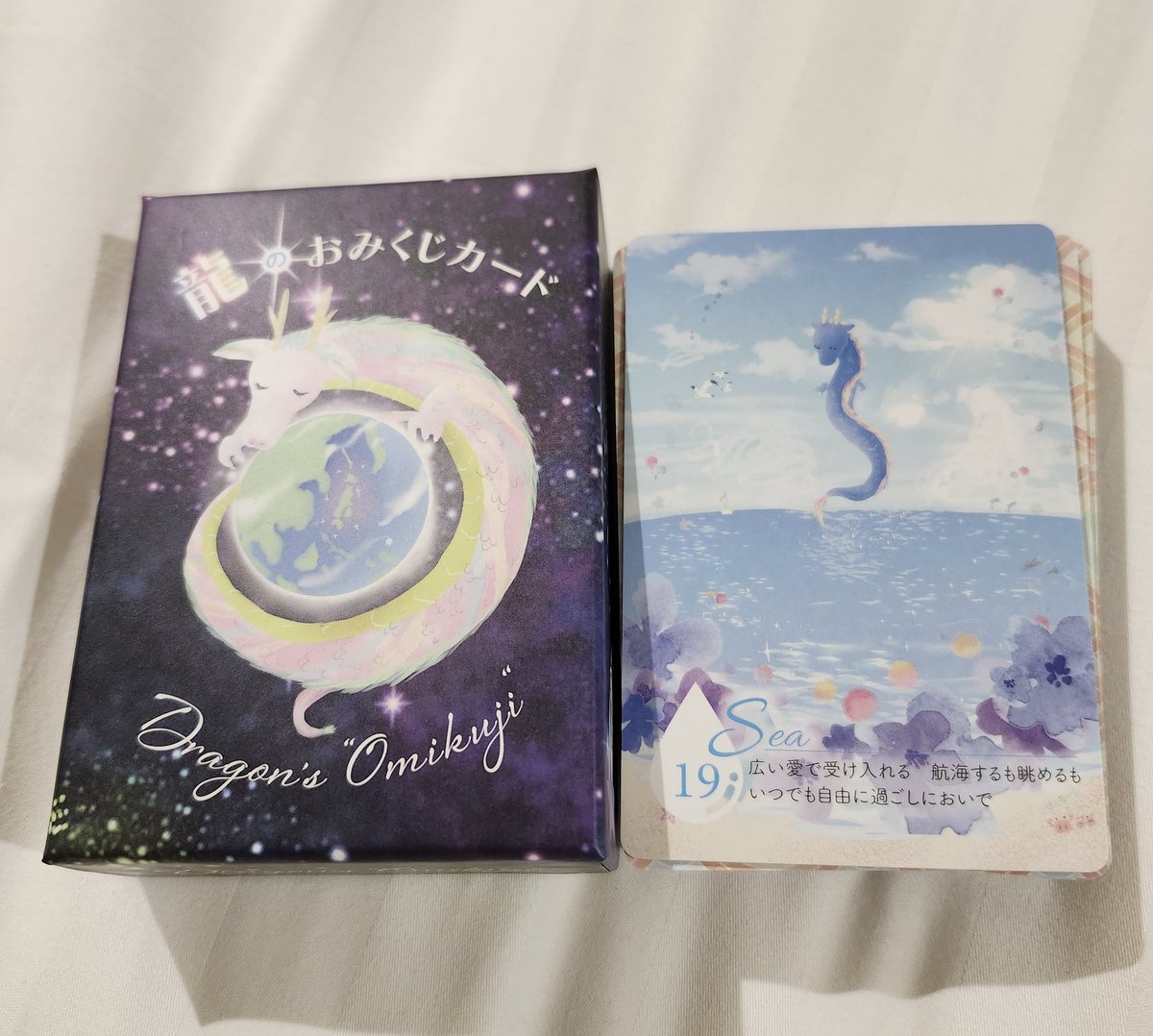 嬉しいご縁いただき、お迎えすることとなりました。 早く仲良く