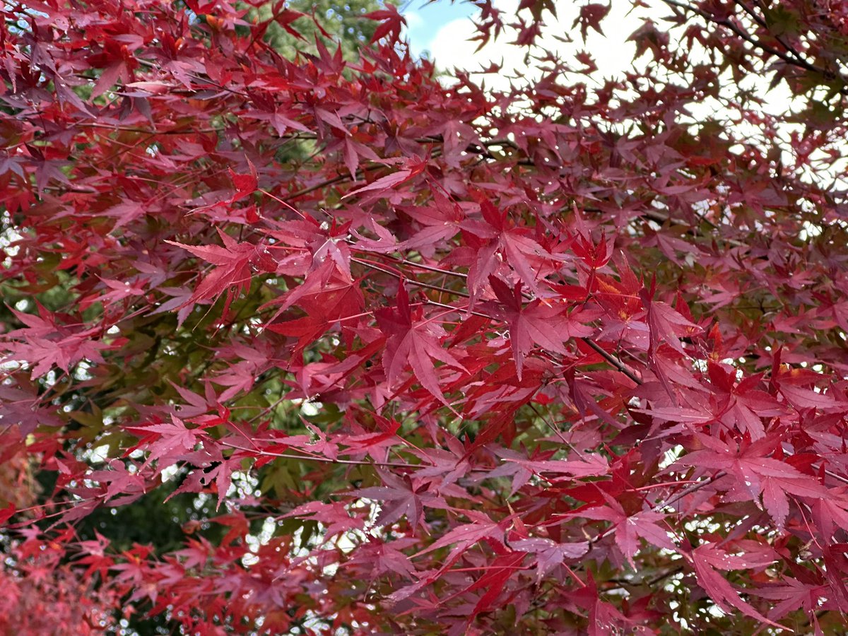 🎮 (@rkm000rkm) / Posts and Replies / X