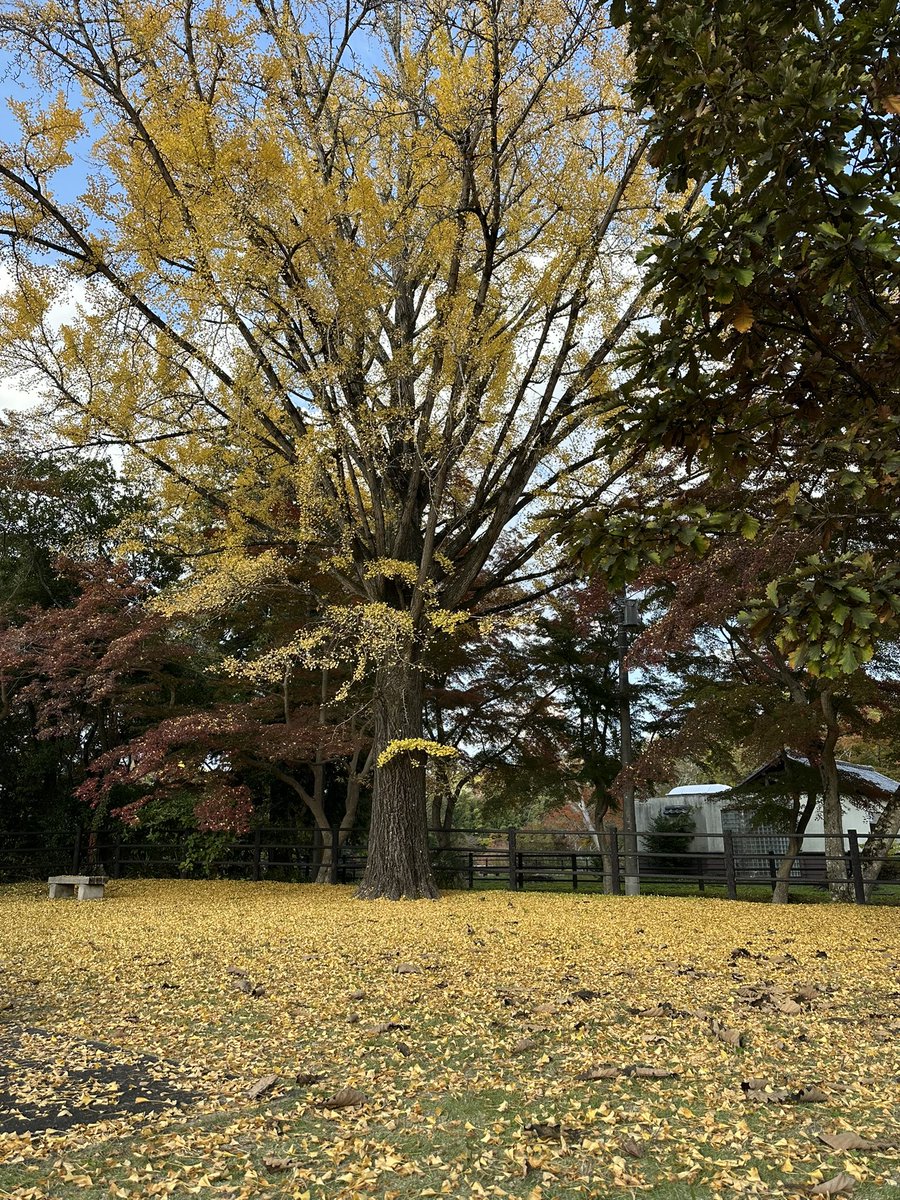 🎮 (@rkm000rkm) / Posts and Replies / X